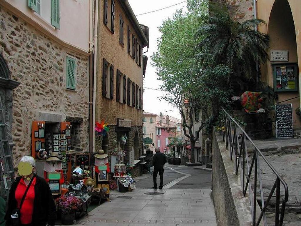 183 D36 LE LAVANDOU_000040.jpg